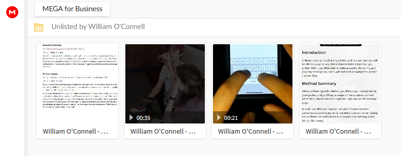 A screenshot of Mega showing some video and pdf files.
